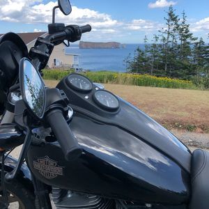 Meet your Posher, Patrick